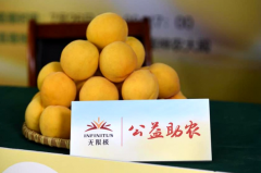 �������� ����Ũ�� ���޼���������ֱ��Ϊ��ũ����