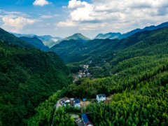 �齭�� ΢����-������:�۽� ��ɫ ��չ,��ƺ��΢�ľ��ḳ��������
